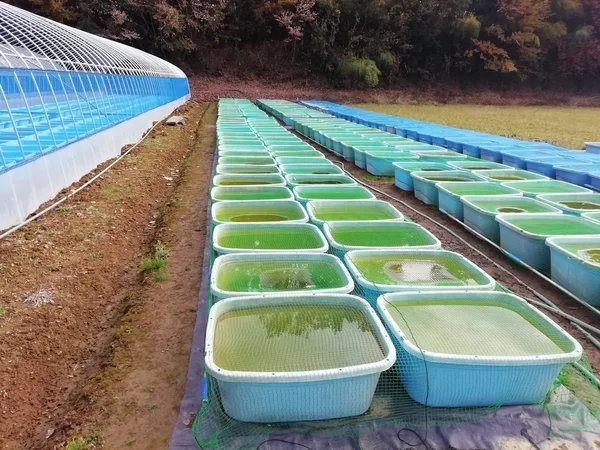 亀田養魚のギャラリー写真2