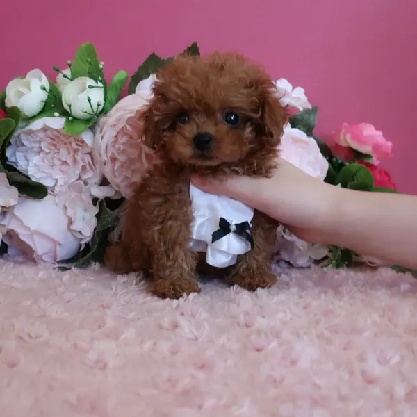おメメもクリンクリン